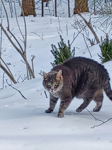 Franklin County Animal Shelter