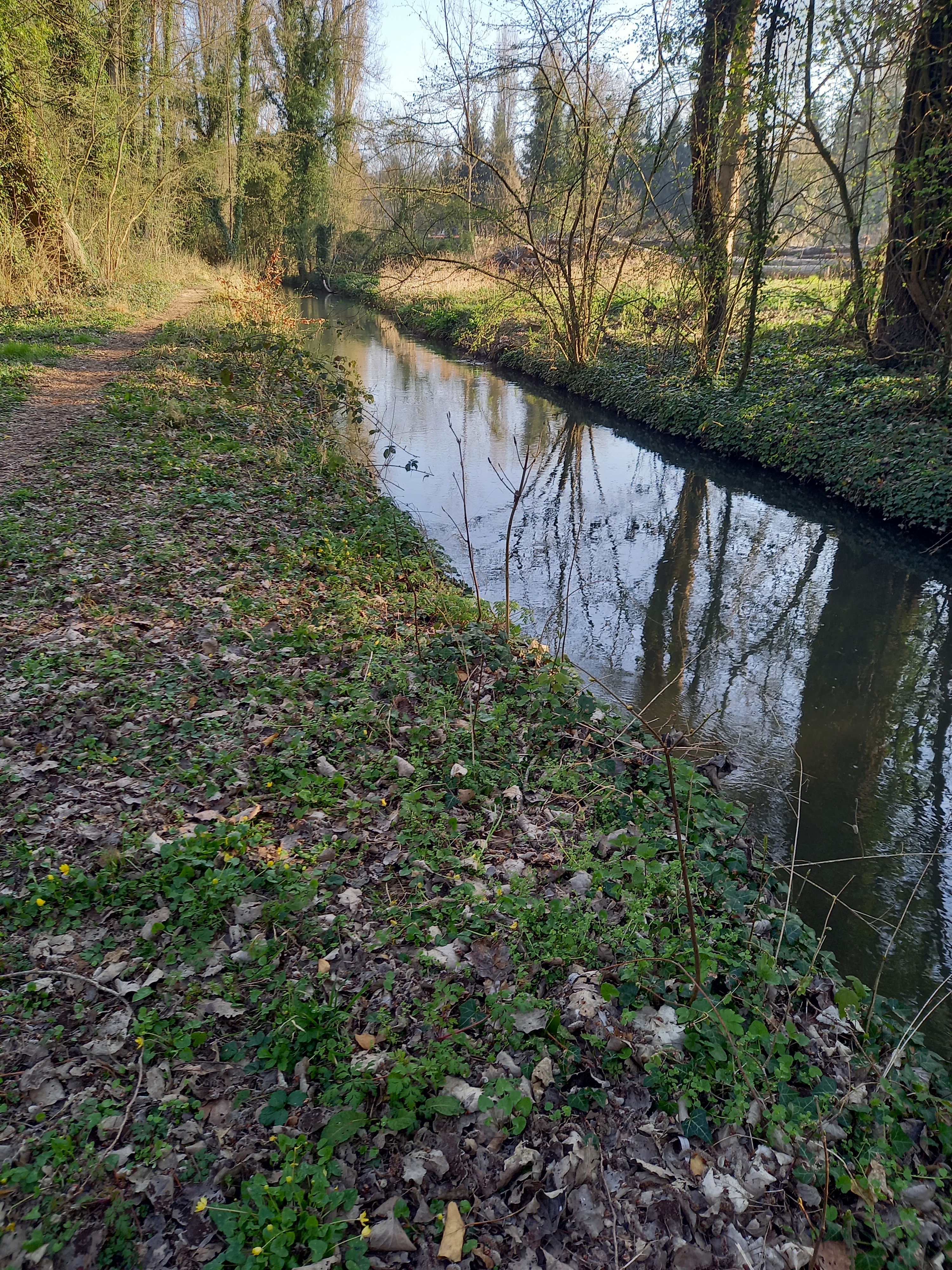 Photo n° 21 de l'avis de Tournois.u fait le 27/03/2022 à 08:41