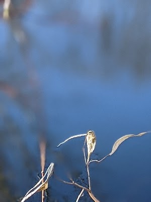Jansen Park LLC - photo 45