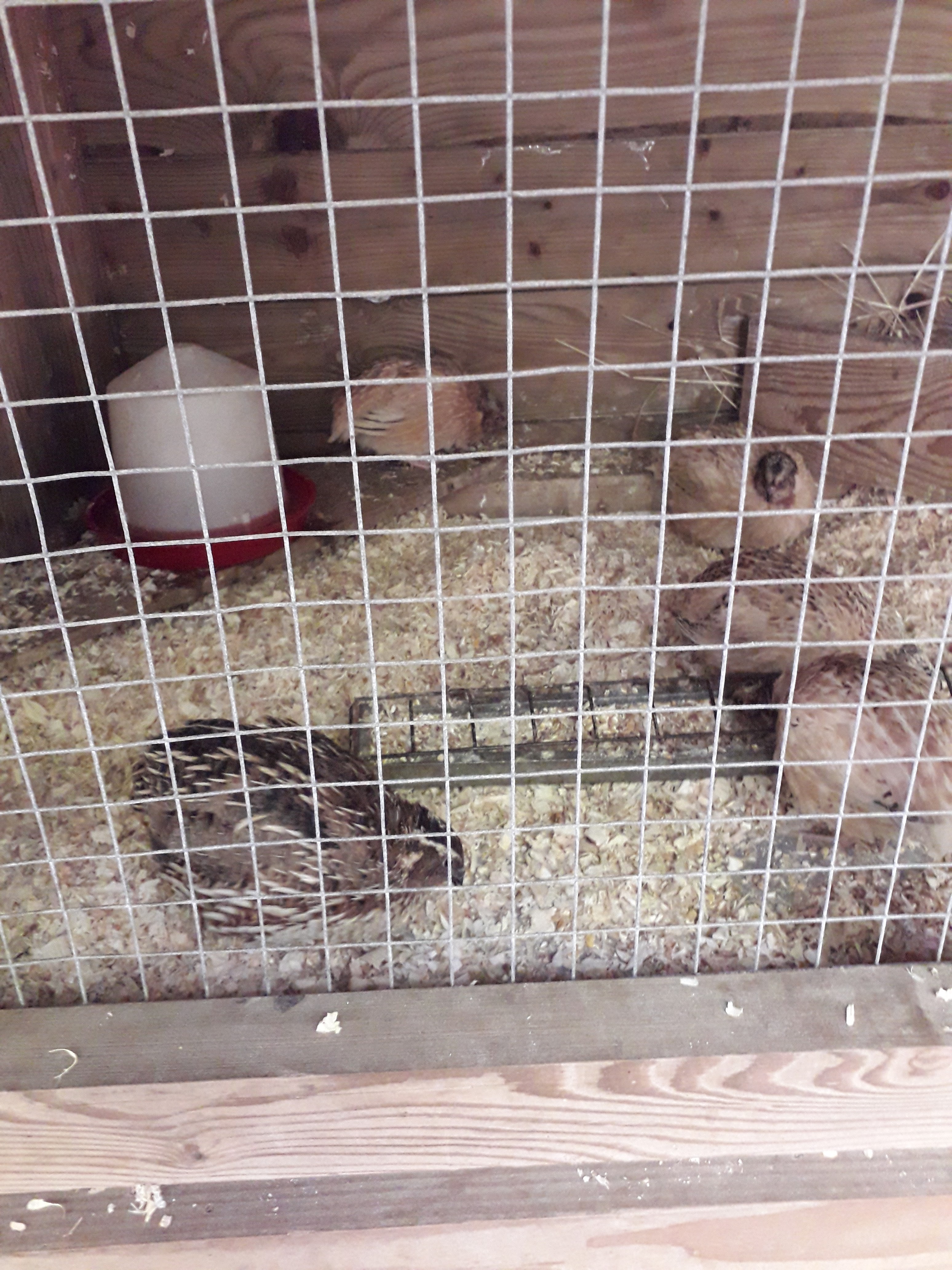 Photo n° 17 de l'avis de Franck.i fait le 19/07/2020 à 15:45