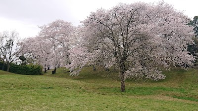古室山古墳