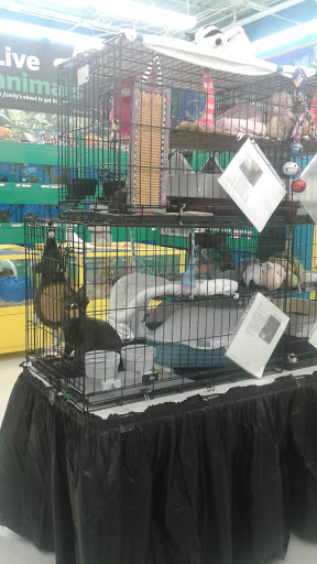 Pet Supply Store «Pet Supplies Plus», reviews and photos, 4923 Sheridan St, Hollywood, FL 33021, USA