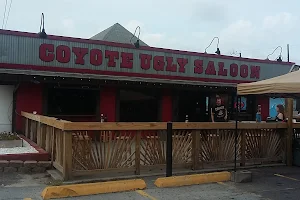 Coyote Ugly Saloon image