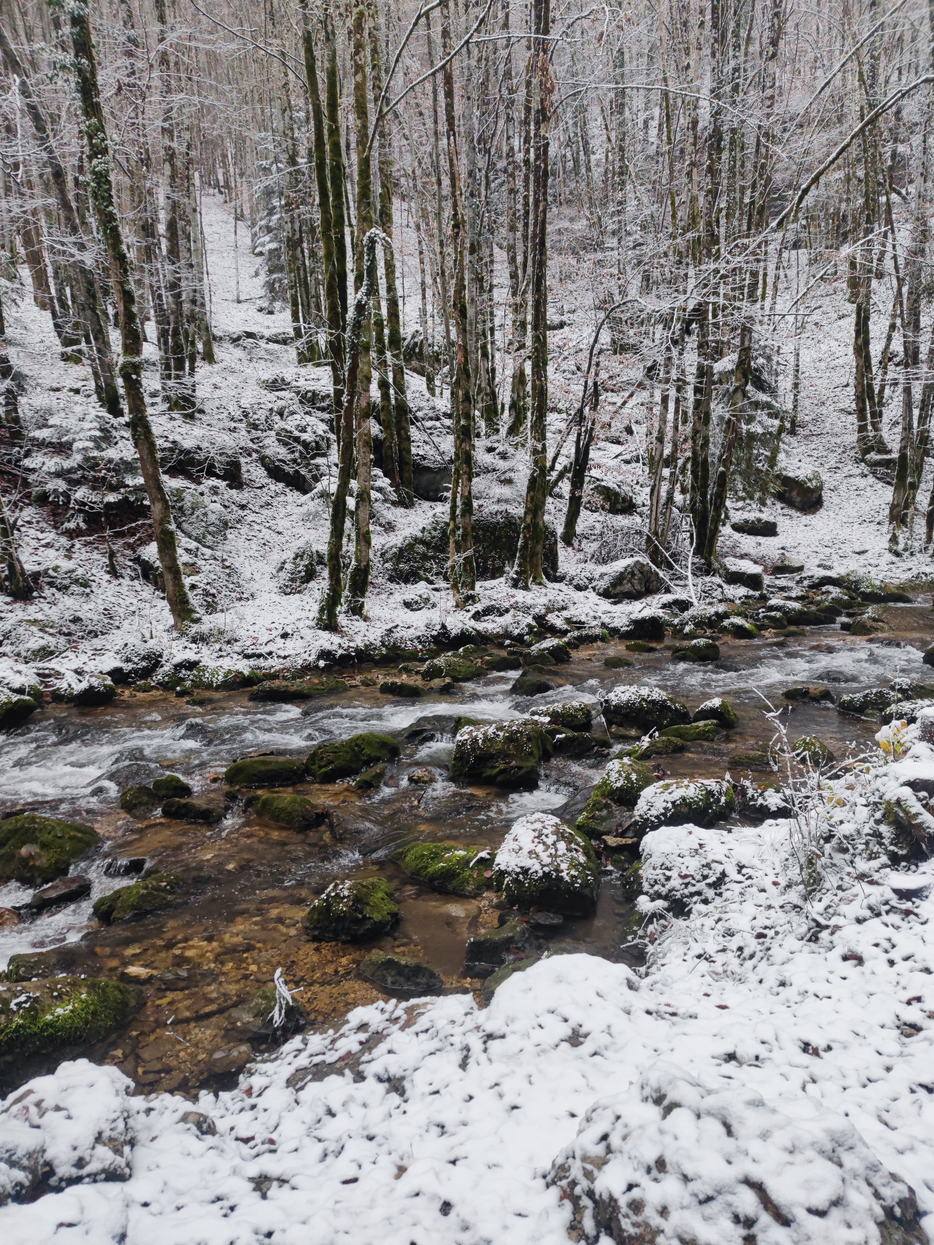 Photo n° 7 de l'avis de Benoît.l fait le 10/12/2022 à 20:27