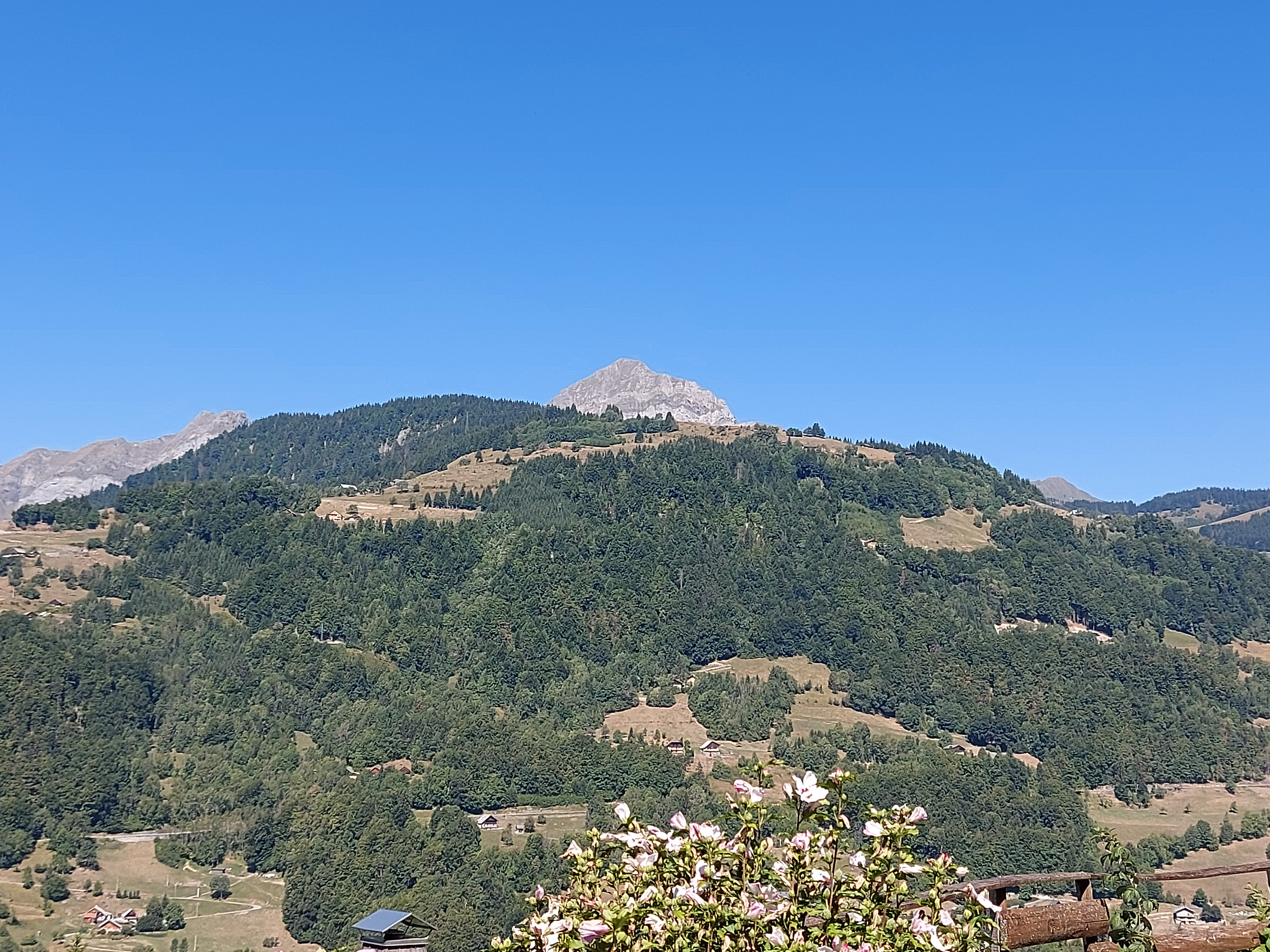 Photo n° 2 de l'avis de Ingrid.o fait le 23/08/2022 à 14:06