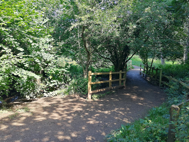 Leap Valley