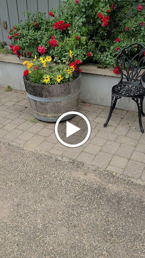 Winery «Lemon Creek Winery», reviews and photos, 533 E Lemon Creek Rd, Berrien Springs, MI 49103, USA