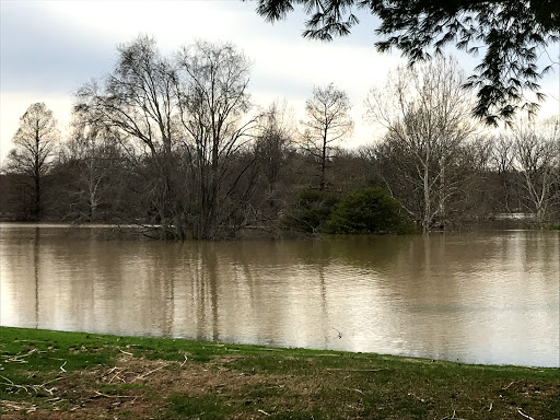 Golf Course «Shawnee Golf Course», reviews and photos, 460 Northwestern Pkwy, Louisville, KY 40212, USA