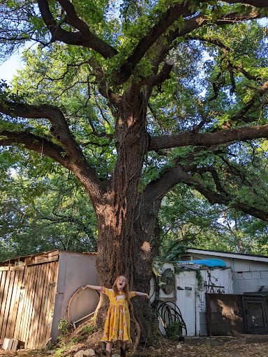 Bed & Breakfast «Country Woods Inn», reviews and photos, 420 Grand Ave, Glen Rose, TX 76043, USA