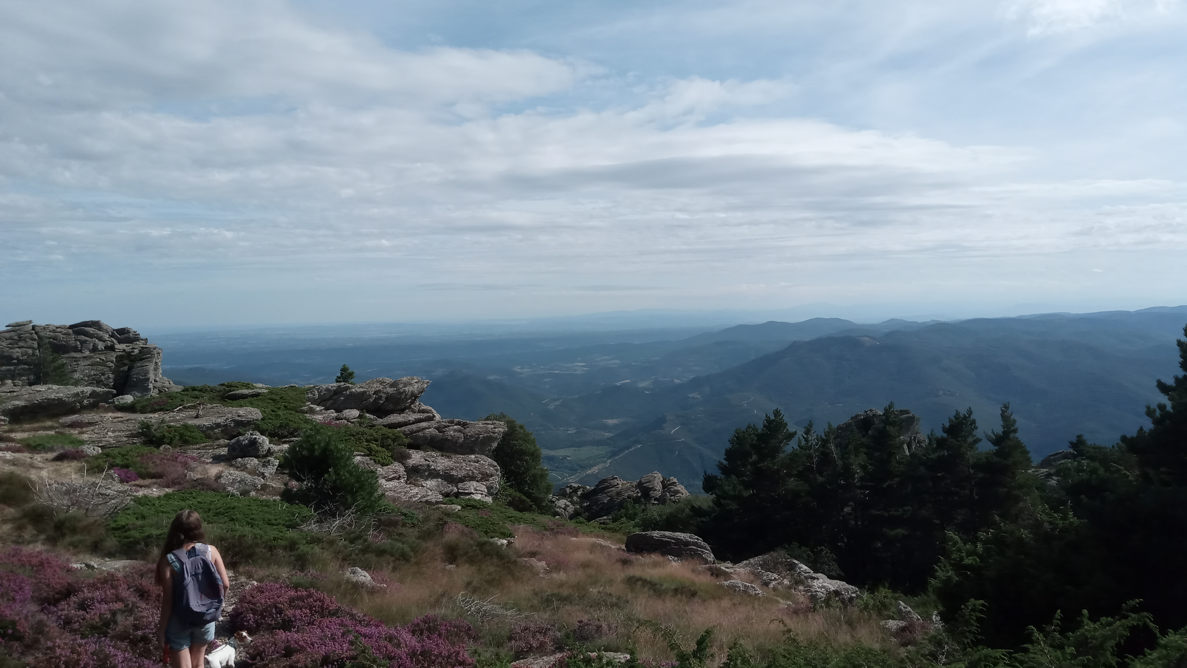Photo n° 2 de l'avis de Mathieu.a fait le 13/08/2021 à 04:57