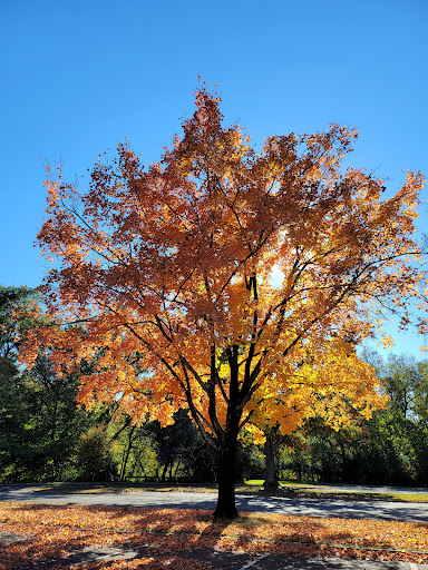 National Park «Fort Washington Park», reviews and photos, 13551 Fort Washington Rd, Fort Washington, MD 20744, USA