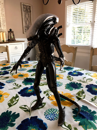 Toy Store «Amok Time Toys and Comics», reviews and photos, 108C New South Rd, Hicksville, NY 11801, USA