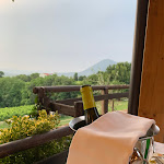 Photo n°1 de l'avis de Bea.a fait le 25/07/2021 à 20:09 sur le  IL PORCINO RISTORANTE PADOVA VO' à Cortela