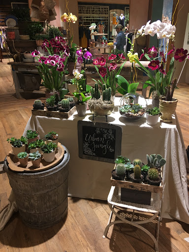 Wholesale Florist «Urban Jungle», reviews and photos, 2603 Sherman Ave NW, Washington, DC 20001, USA