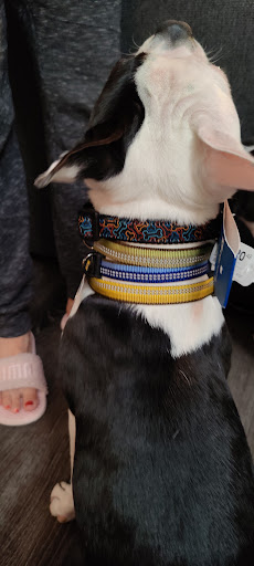 Department Store «Coastal Farm & Ranch», reviews and photos, 1355 Goldfish Farm Rd SE, Albany, OR 97322, USA