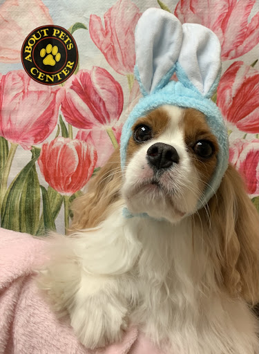 Pet Boarding Service «About Pets Center», reviews and photos, 1604 Conehurst Blvd, Salem, VA 24153, USA