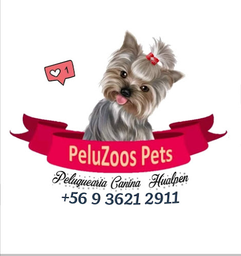 Peluquería Canina Peluzoos pets - Hualpén