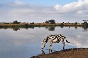Hyena Reservoir image