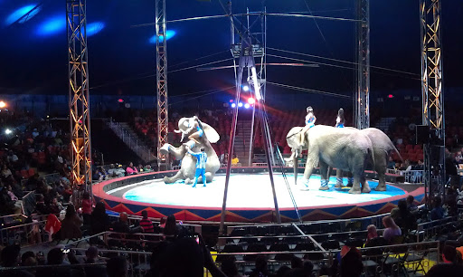 Shopping Mall «Freedom Mart Shopping Center», reviews and photos, 3164 Freedom Dr, Charlotte, NC 28208, USA