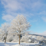 Photo n°3 de l'avis de Thomas.u fait le 01/02/2023 à 08:42 sur le  Schlosshotel Brilon-Wald | Restaurant am Schlosshotel à Brilon