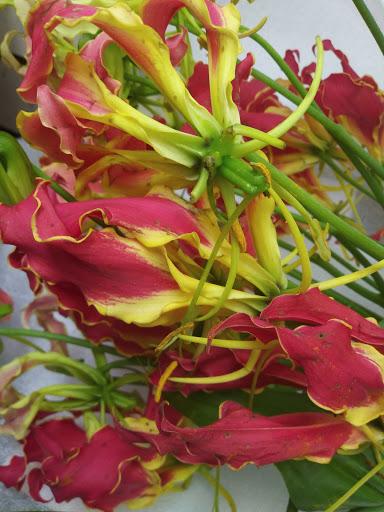 Florist «Axelrod Flowers», reviews and photos, 4429 Whitaker Ave, Philadelphia, PA 19120, USA