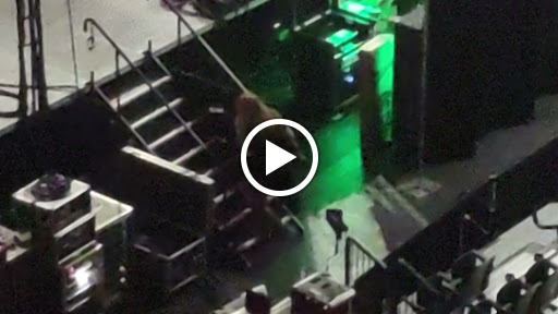 Arena «Petersen Events Center», reviews and photos, 3719 Terrace St, Pittsburgh, PA 15261, USA