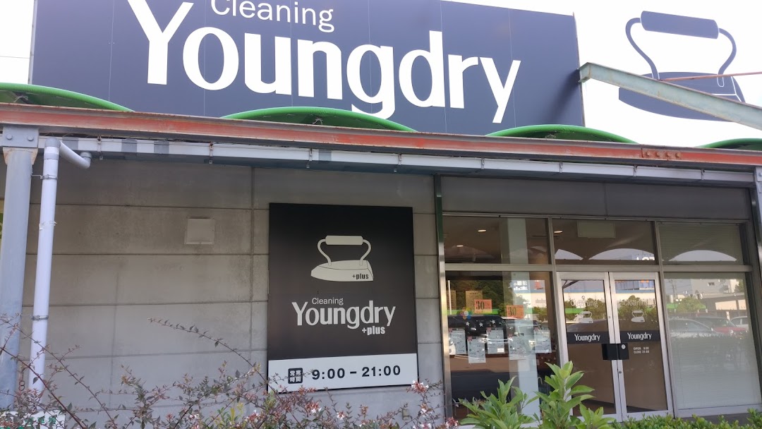 クリニングyoung dry plus