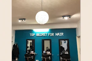 Top Secret for Hair image