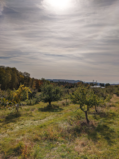 Winery «Furnace Brook Winery», reviews and photos, 508 Canaan Rd, Richmond, MA 01254, USA