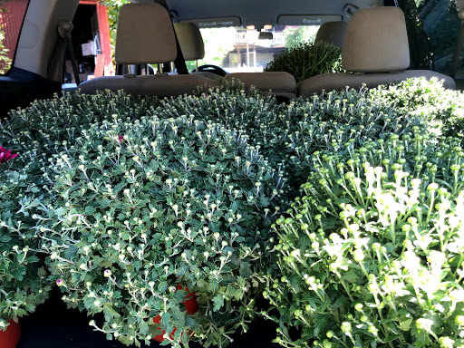 Gift Shop «Oronoque Farms», reviews and photos, 188 Leavenworth Rd, Shelton, CT 06484, USA