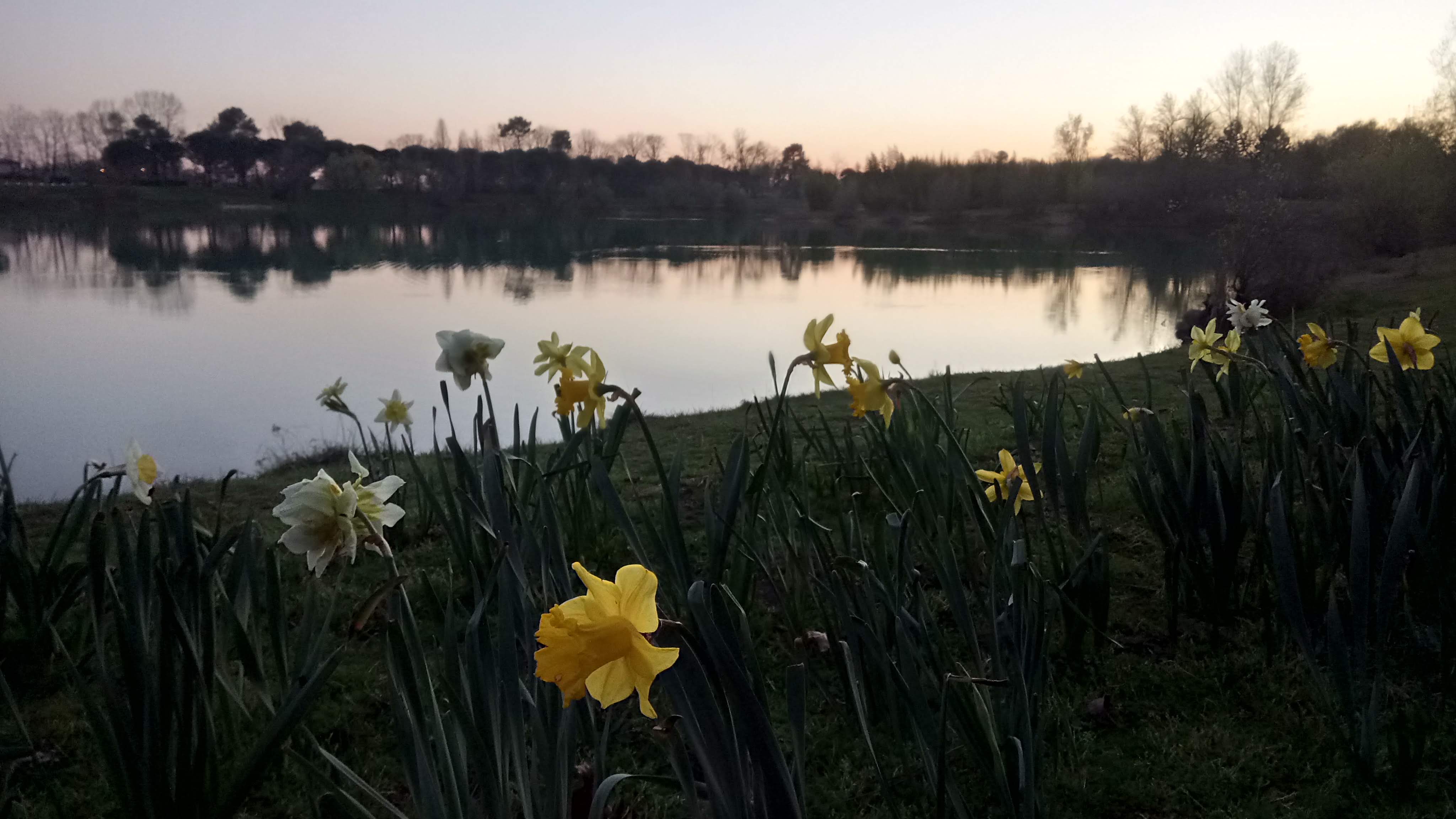 Photo n° 12 de l'avis de Agnès.E fait le 17/01/2019 à 17:31