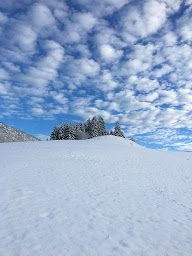 Photo n°103 de Chez Constance à Glières-Val-de-Borne ()