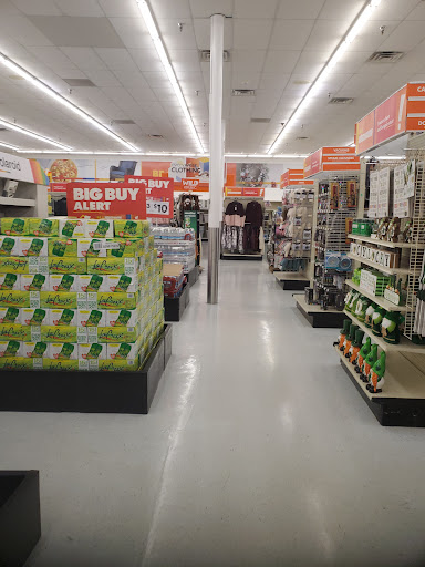 Discount Store «Big Lots», reviews and photos, 610 Holcomb Bridge Rd #300, Roswell, GA 30076, USA