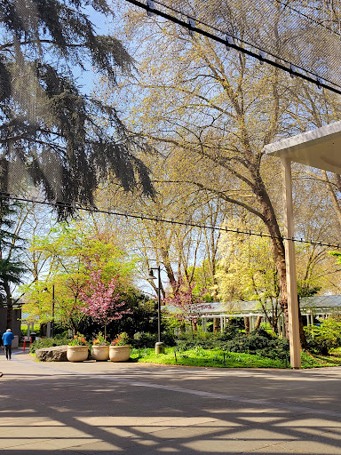 Live Music Venue «McCaw Hall», reviews and photos, 321 Mercer St, Seattle, WA 98109, USA