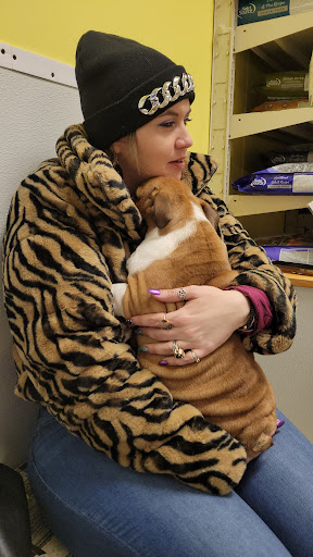 Pet Store «Yuppy Puppy Pet Shop», reviews and photos, 292 Frantz Rd, Stroudsburg, PA 18360, USA