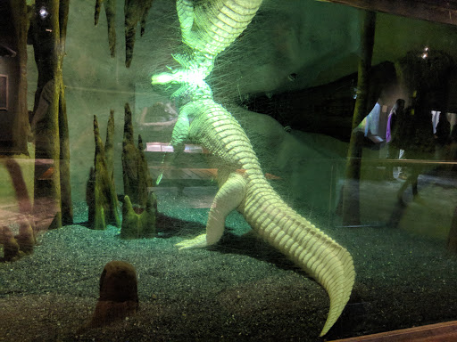 Aquarium «South Carolina Aquarium», reviews and photos, 100 Aquarium Wharf, Charleston, SC 29401, USA