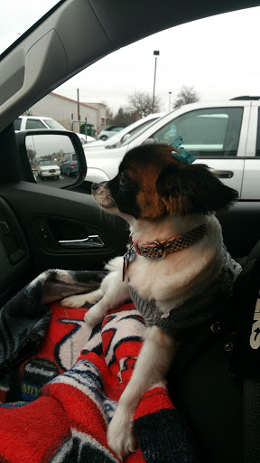 Pet Supply Store «PetSmart», reviews and photos, 2101 NJ-35, Holmdel, NJ 07733, USA