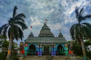 Shri Shri Baba Vishwanath Temple image