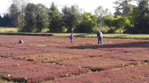 Museum «Cranberry Museum», reviews and photos, 2907 Pioneer Rd, Long Beach, WA 98631, USA