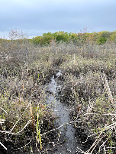 Nature Preserve «Mud Lake Bog Nature Preserve», reviews and photos, 905 E Elm Valley Rd, Buchanan, MI 49107, USA