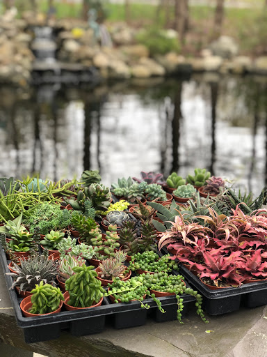 Gift Shop «Pondering Creations Farm», reviews and photos, 101 Allen St, Terryville, CT 06786, USA