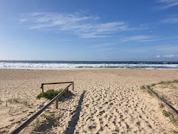 Foto von Redhead Beach - beliebter Ort unter Entspannungskennern