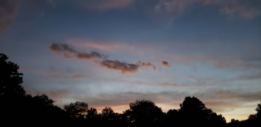 Coffee Shop «Starbucks», reviews and photos, 3901 Peachtree Rd NE, Brookhaven, GA 30319, USA