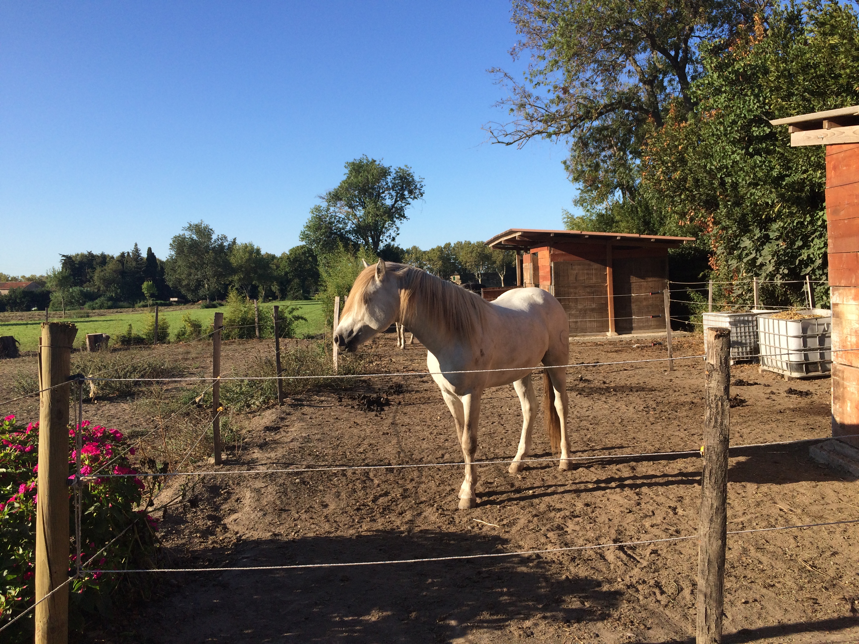 Photo n° 8 de l'avis de Giulia.n fait le 01/09/2017 à 12:47