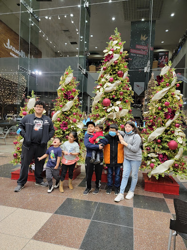 Shopping Mall «Crown Center», reviews and photos, 2450 Grand Blvd, Kansas City, MO 64108, USA