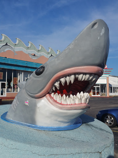 Swimwear Store «Wings Beachwear - Myrtle Beach # 024», reviews and photos, 5700 S Kings Hwy, Myrtle Beach, SC 29575, USA