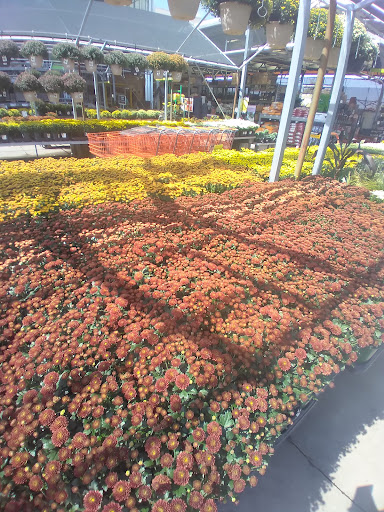 Home Improvement Store «The Home Depot», reviews and photos, 4501 1st Ave SE, Cedar Rapids, IA 52403, USA