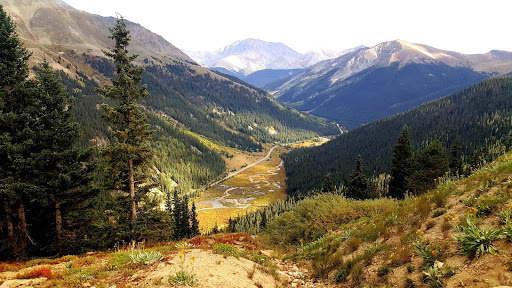 Consignment Shop «Mountain Equipment Recyclers», reviews and photos, 1024 S Tejon St, Colorado Springs, CO 80903, USA