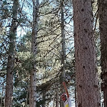 Photo n°1 de l'avis de Gianni.u fait le 16/07/2022 à 20:31 sur le  Silavventura Parco Avventura à Lorica