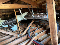 Rodent Exterminator Los Angeles - Photo 3 - Car repair in , Simi Valley